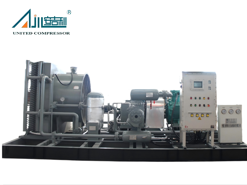 ضاغط مكبس للغاز الطبيعي الصناعي CNG لمشاريع الطاقة